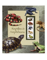 Reptiles & Amphibians Poster