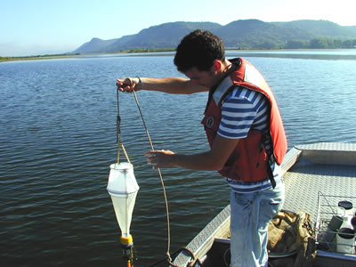 Plankton sampling 