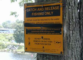 Sign by Hudson River warning against eating contaminated fish.