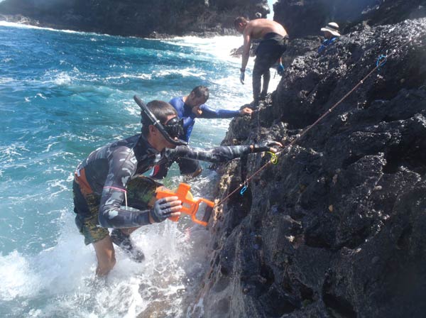 Intertidal monitoring team members monitoring the rocky intertidal shoreline in between waves at Mokumanamana.