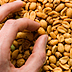 Photo of a hand reaching for a sea of peanuts.