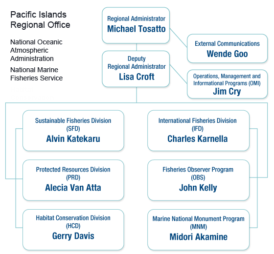 DIR org chart