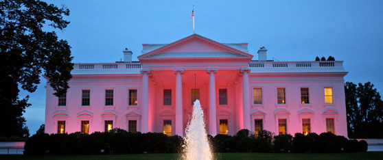 The North Portico exterior of the White House is illuminated pink in honor of Breast Cancer Awareness Month, Oct. 1, 2012. (Official White House Photo by Sonya N. Hebert)