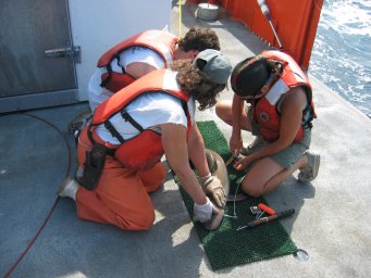 Injecting a Shark with OTC