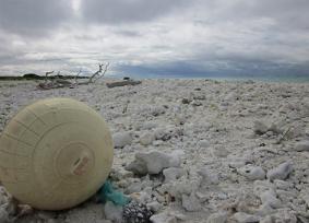 Midway Atoll beach with fishing float.