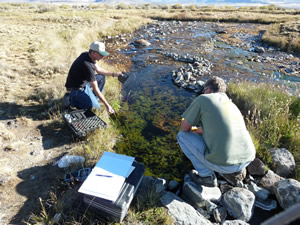 DRI and USGS scientists sampling a spring in BRNCA