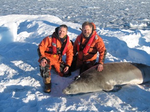 Costa and Goebel with CTD-instrumented crabeater seal, April 2007