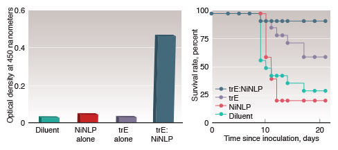 Graphs depicting results from an experiment with a West Nile virus antigen.