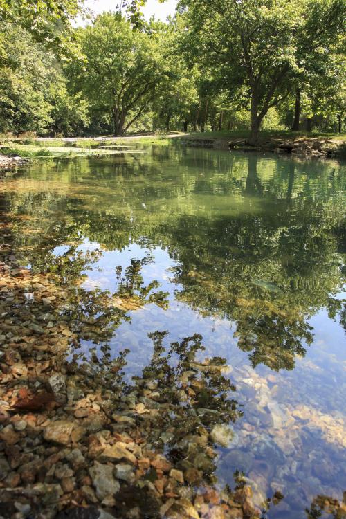 Barry County- Roaring River State Park