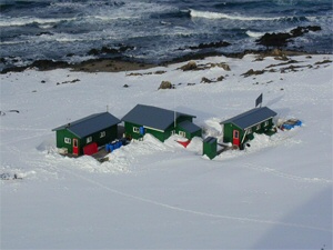 Spring time at the AERD field station at Cape Shirreff on Livingston Island; snow is still plentiful in the austral spring.