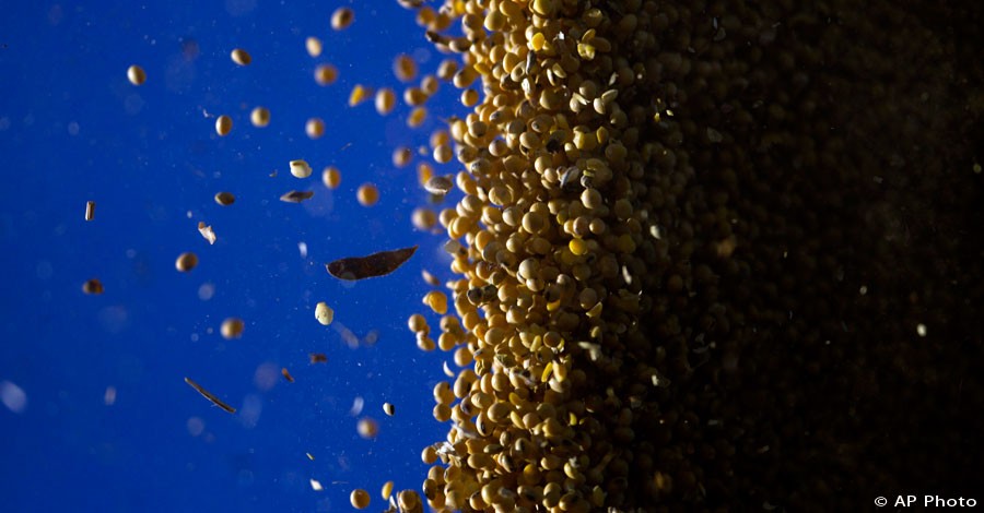 Soybeans are harvested on a farm near Pergamino, Argentina, July 14, 2012. [AP File Photo]