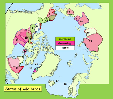 Current status of the world's migratory tundra reindeer and caribou herds