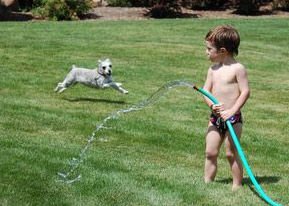 Picture of a young child spraying water at a dog in his yard; even this water infiltrates into the ground.