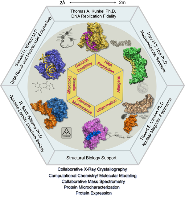 Structural Biology Laboratory Logo