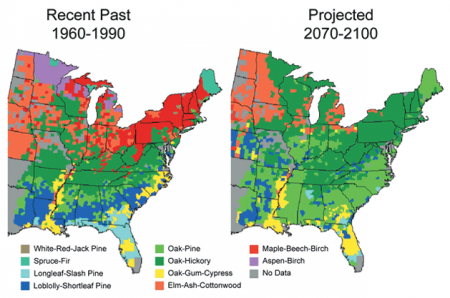 Projected Shifts in Forest Types