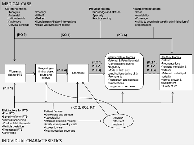 This figure depicts the Key Questions within the context of the PICOTS described in the previous section. In general, the figure illustrates how the use of progestogens in women at risk for preterm birth may result in intermediate outcomes, such as complications during pregnancy (e.g., chorioamnionitis, antenatal hospitalizations, and intrauterine growth restriction), mode of birth and complications during birth (e.g., cesarean birth and surgical complications), prematurity, postpartum and neonatal complications (e.g., maternal postpartum hemorrhage and IVH), and longer term outcomes (e.g., neurodevelopmental delay and future reproductive outcomes). Adherence is influenced by the timing, dose, route, and interval of the progestogen given, patient factors such as knowledge and acceptability, risk factors for preterm birth, and adverse effects. Adverse events may occur at any point after the treatment is received, and are affected by patient factors. A woman’s risk of preterm birth is determined by risk factors such as prior preterm birth, multiple gestations, and cervical shortening. Moreover, the timing, dose, route, and interval of the progestogen treatment may be affected by the use of cointerventions, provider factors such as specialty, and health care system factors such as cost and availability, as well as patient factors, knowledge, and attitude. 