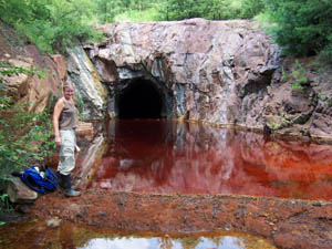 photo from the Ducktown mining district, Tennessee (Copper Basin Superfund Site). Photo by Robert Seal, USGS.