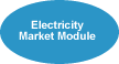 Electricity Market Module