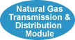 Natural Gas Transmission and Distribution Module