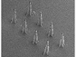 SEM of of an array of rocket-shaped microneedles