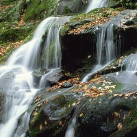 Shenandoah Falls, Virginia