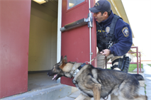 Marine Corps Police Department Officer Anthony Seirafi, a dog handler with MCPD’s K-9 unit aboard Marine Corps Logistics Base Barstow calls out for intruders with his dog, Ricsi, during a training exercise Nov. 9. Handlers train on a daily basis with their dogs to maximize the efficiency of their work aboard the base.
