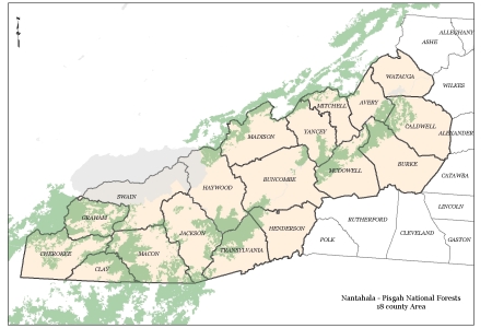 Nantahala-Pisgah National Forests Plan Revision