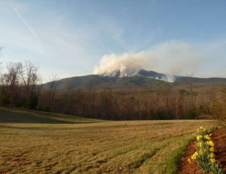 Restoring Fire to the Mountains