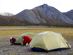 campers setting up two tents
in a fall landscape - USFWS