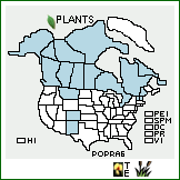 Distribution of Poa pratensis L. ssp. alpigena (Fr. ex Blytt) Hiitonen. . 