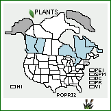 Distribution of Poa pratensis L. ssp. irrigata (Lindm.) H. Lindb.. . 