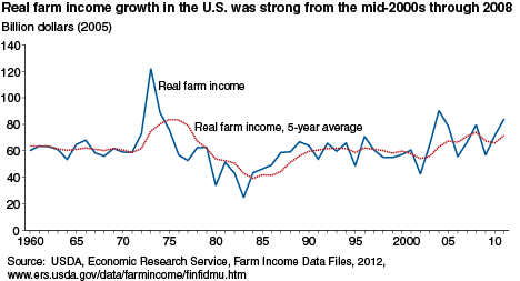 Real farm income growth in the U.S. was strong from the mid-2000s through 2008