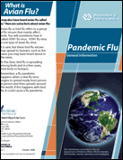 Brochure 1: Pandemic Flu