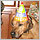 Your pet's birthday pictures