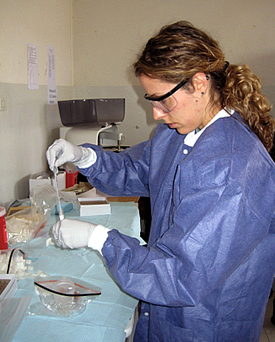 Danielle Buttke processes samples.