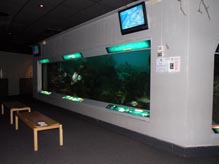 Flower Garden Banks exhibit area at the Texas State Aquarium.  The main window is surrounded by gray walls and lighted graphics panels.  A video monitor is mounted above each end of the long window to show fish ID information.