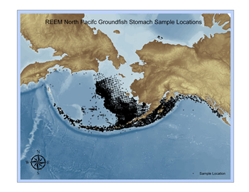 Stomach sample locations superimposed on a map of the North Pacific and Bering Sea