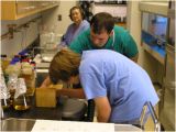 Two students using a ruler-board to measure and collect data from mussel specimens. The data collected include length, weight, width, depth, area inside valves, weight of soft tissues, etc. Photo credit: USGS 