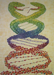 DNA Art