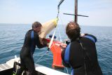 USGS divers deploy an ADCP offshore from an Indiana beach. Photo credit: USGS