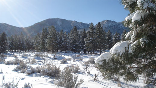 Pine Valley Mountain