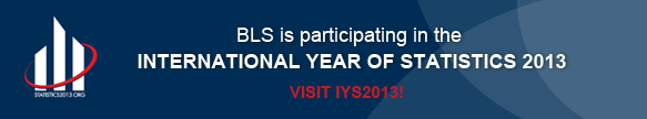 International Year of Statistics 2013 banner image