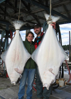 sport caught halibut