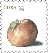 Northern Spy apple