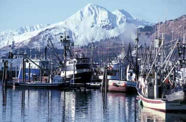 Kodiak harbor