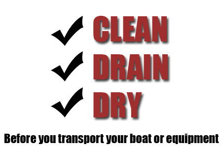 Clean, Drain, and Dry Everything!