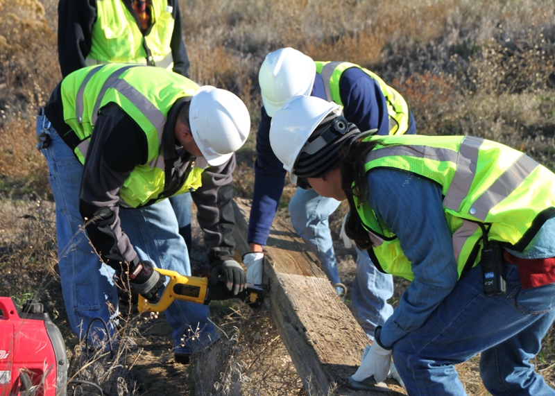 Video: North Slope cleanup begins (11-5-10)