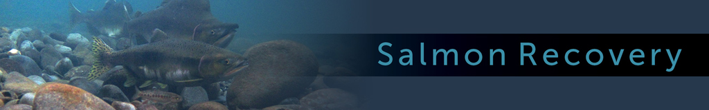 salmon recovery banner