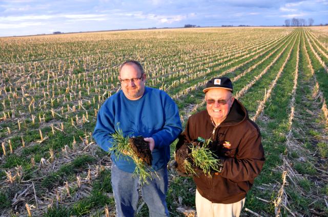 Todd & Arliss Nielsen think their no-till and ryegrass cover crop combination builds organic matter