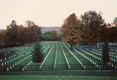Photo of upright markers lined vertically in several rows beginning from the front towards mountains and trees in the far background.